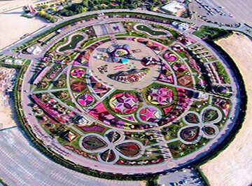 باغ گل دبی ( miracle garden Dubai )